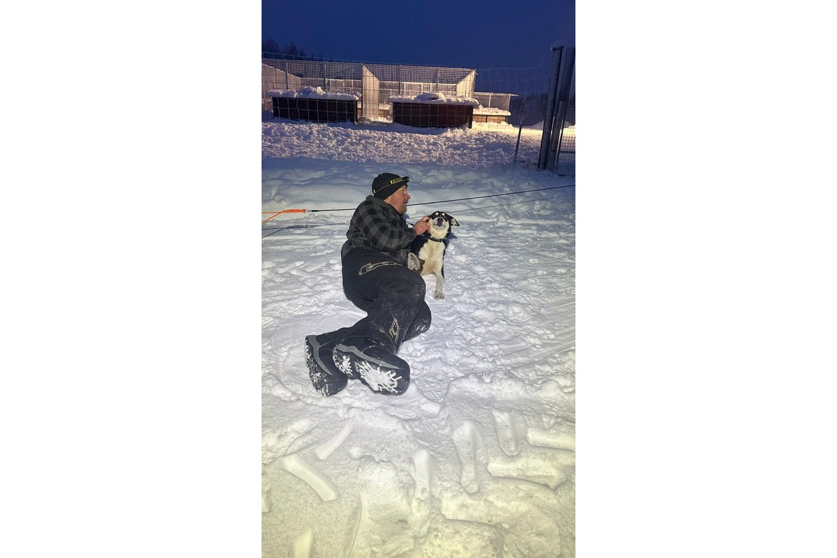 SLED Husky Adventures - Authentic husky experiences in Lapland