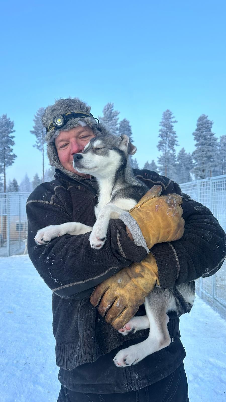 SLED Husky Adventures - Professional musher with husky in authentic Lapland setting
